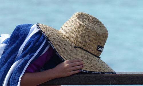 培训管理系统的短信电话云轰炸